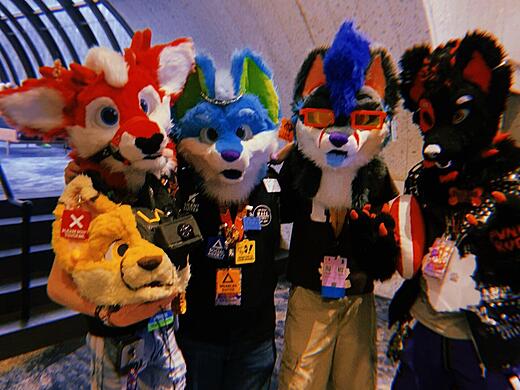 Denfur 2024